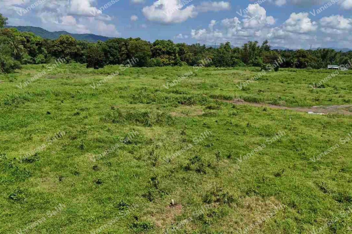 Land for Sale in Tuyon-Tuyon, Tuy, Batangas – photo 6