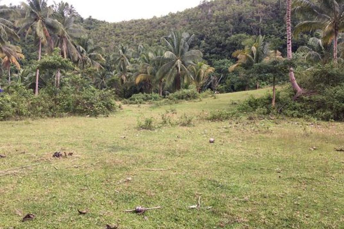 Land for Sale in Ubaub, Argao, Cebu