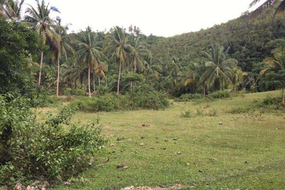 Land for Sale in Ubaub, Argao, Cebu – photo 2