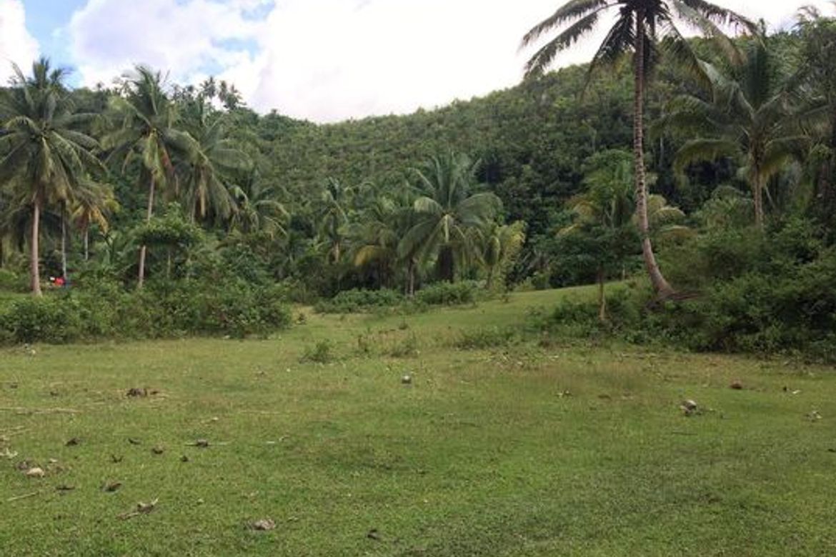 Land for Sale in Ubaub, Argao, Cebu – photo 4