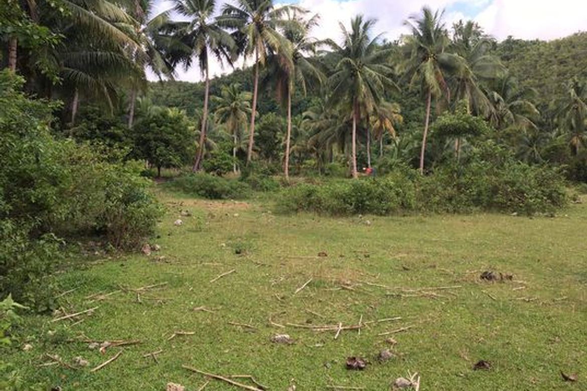 Land for Sale in Ubaub, Argao, Cebu – photo 5