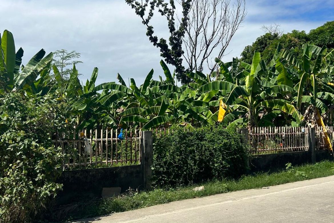Land for Sale in Ubaub, Argao, Cebu