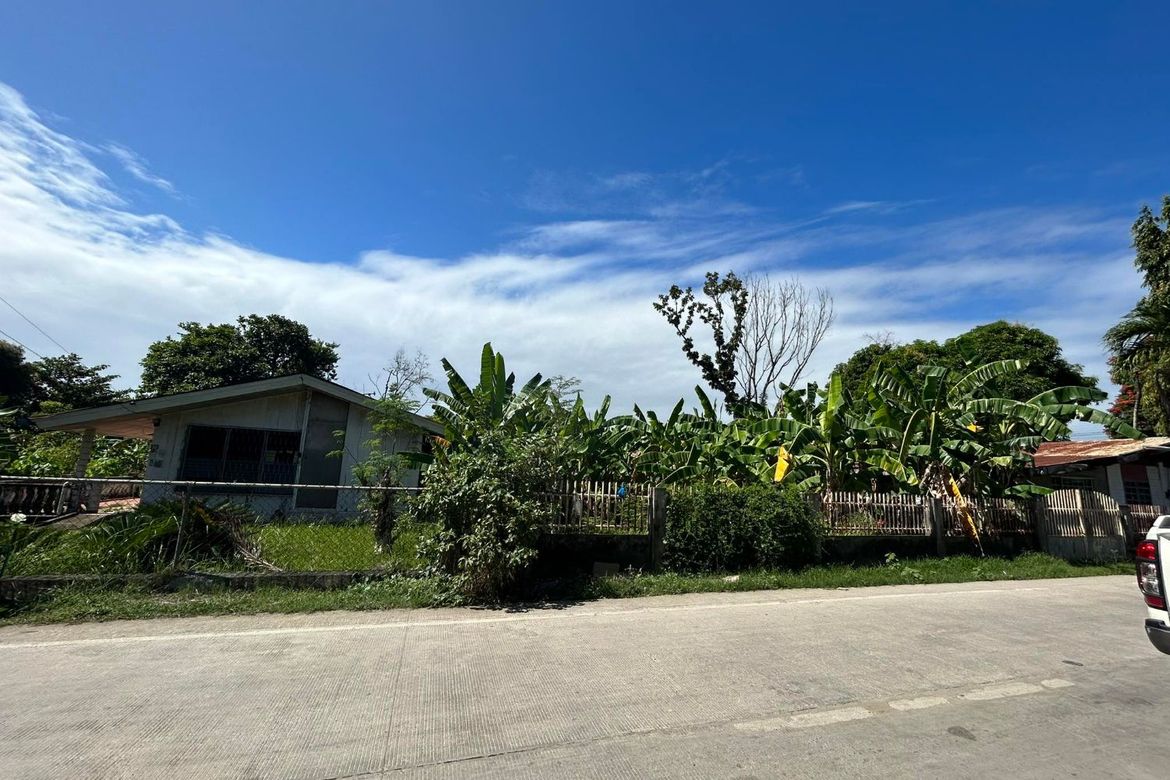 Land for Sale in Ubaub, Argao, Cebu – photo 2
