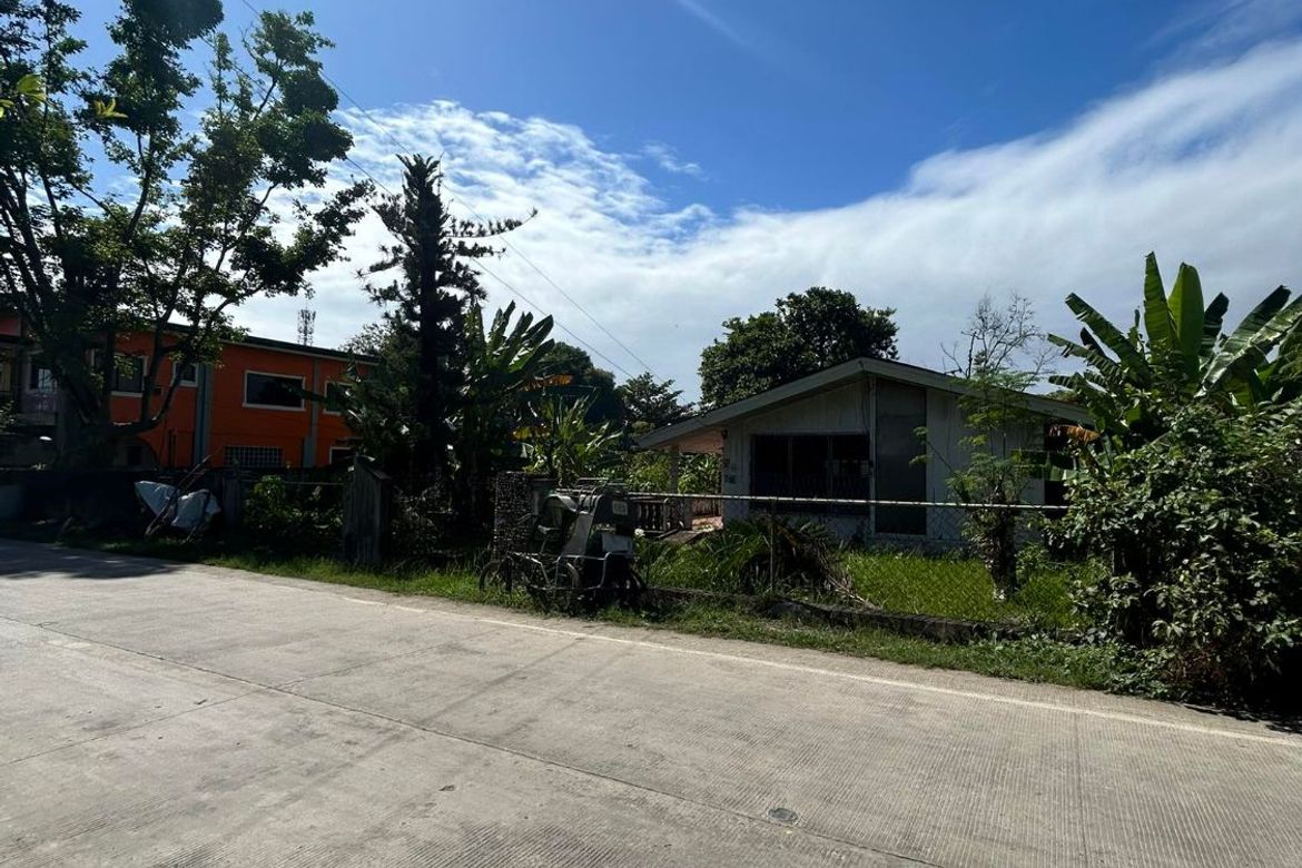 Land for Sale in Ubaub, Argao, Cebu – photo 3