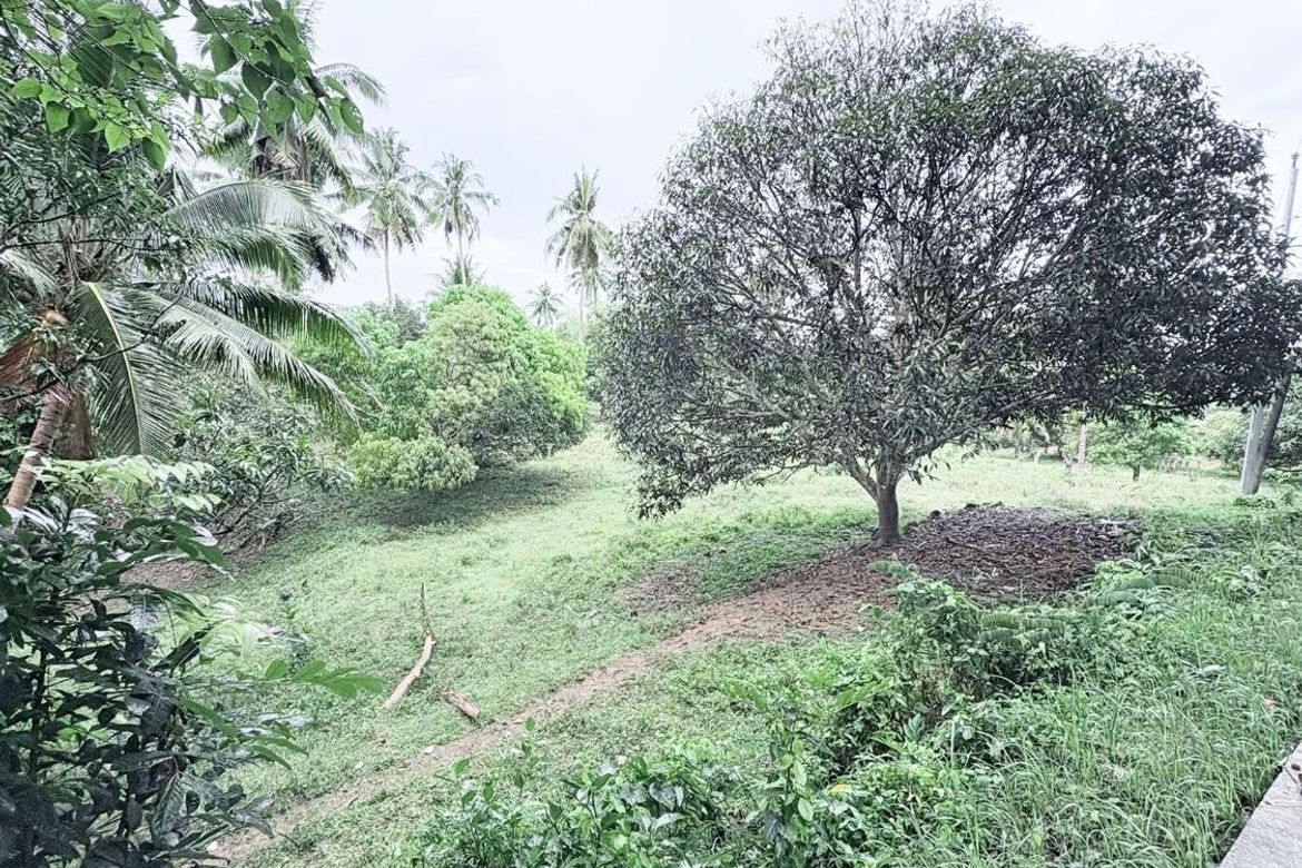 Land for Sale in Ubaub, Argao, Cebu