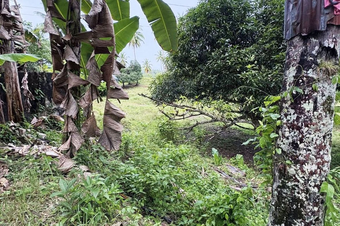Land for Sale in Ubaub, Argao, Cebu – photo 5