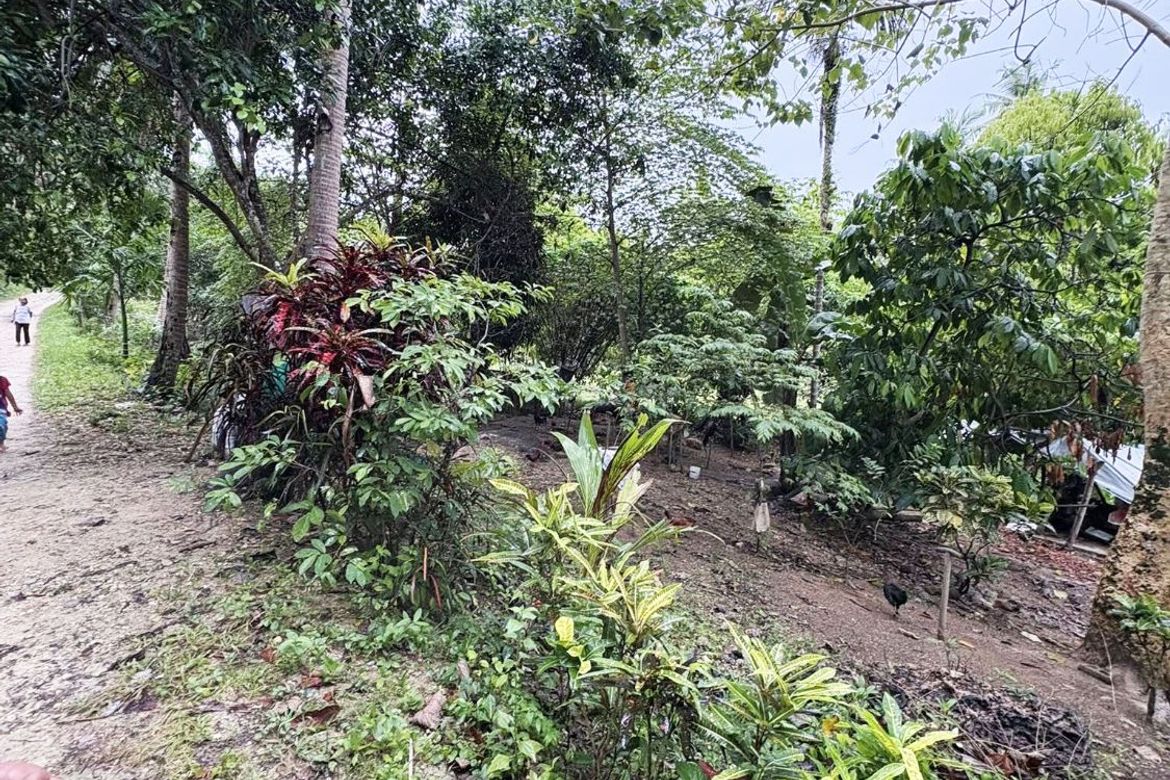 Land for Sale in Ubaub, Argao, Cebu – photo 7