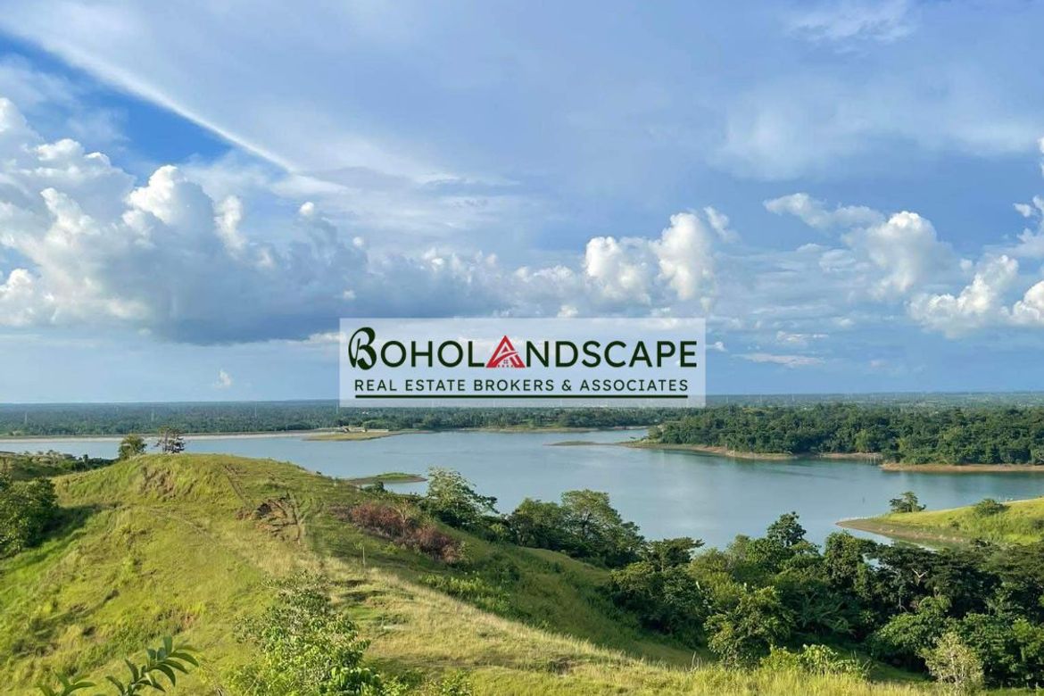 Land for Sale in Ubay, Bohol – photo 5