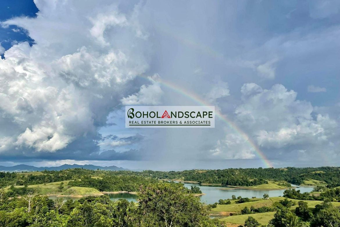 Land for Sale in Ubay, Bohol – photo 6