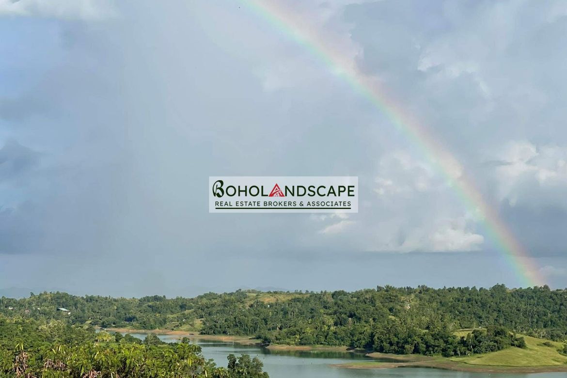 Land for Sale in Ubay, Bohol – photo 7