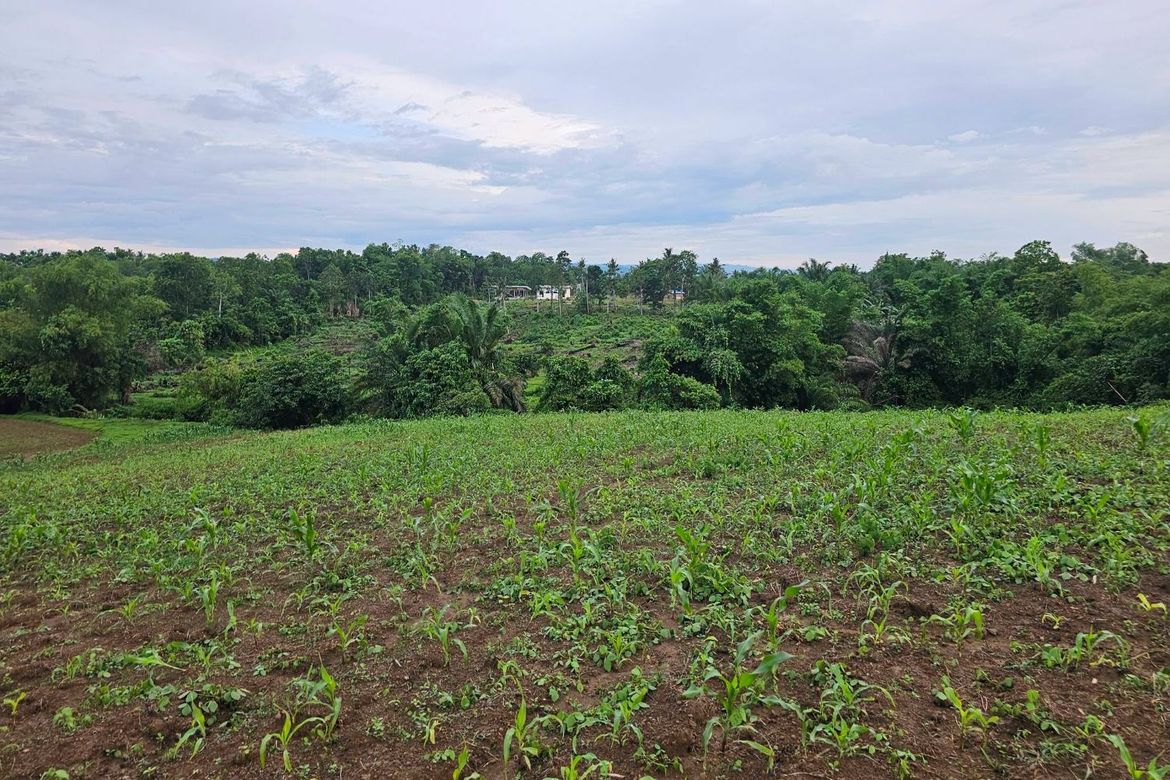 Land for Sale in Ubay, Bohol