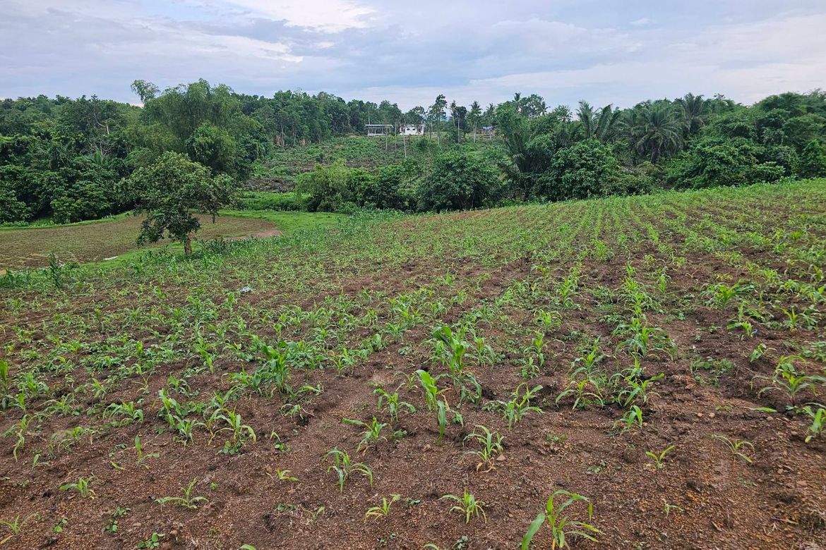 Land for Sale in Ubay, Bohol – photo 6