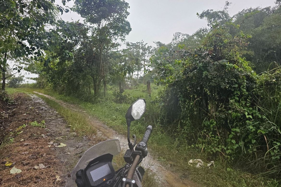 Land for Sale in Ubay, Bohol – photo 3