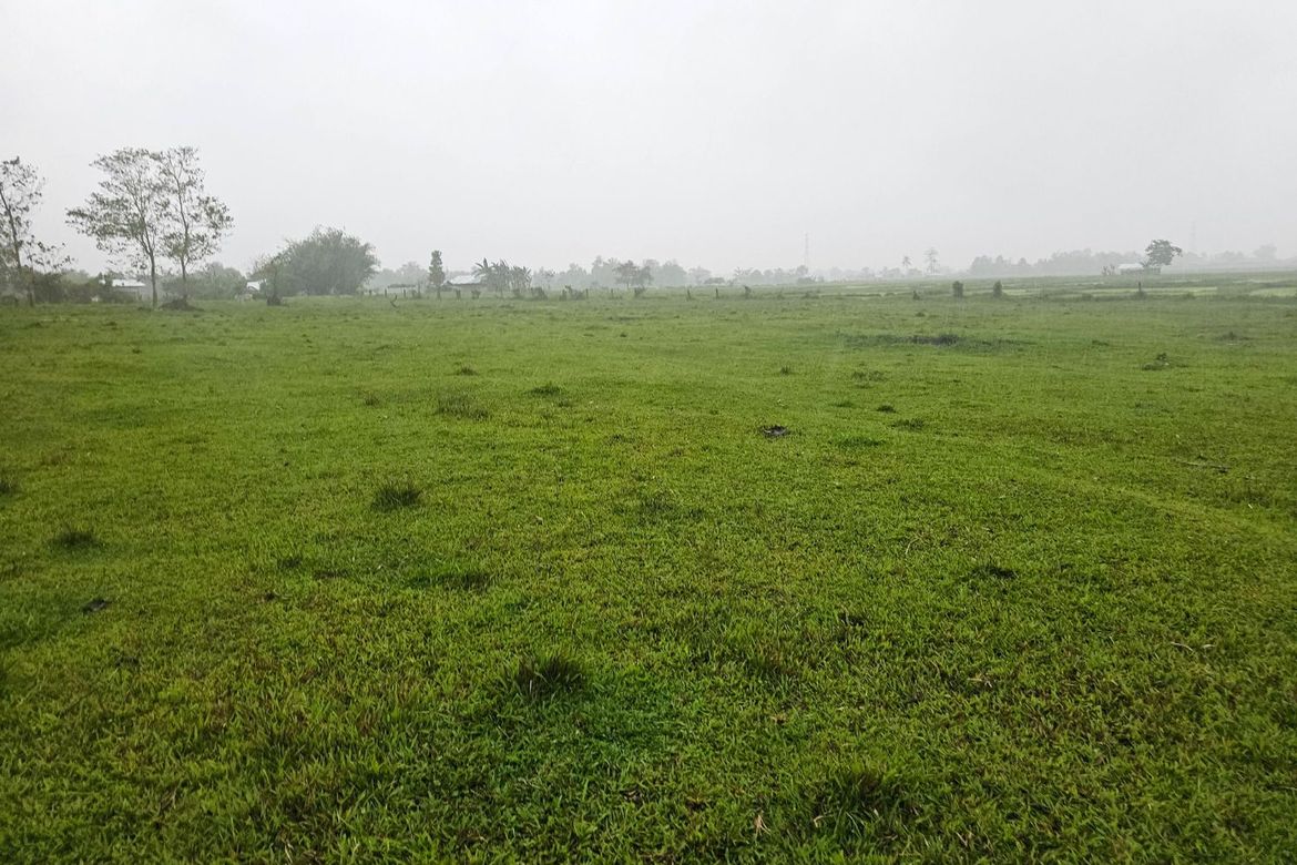 Land for Sale in Ubay, Bohol – photo 6