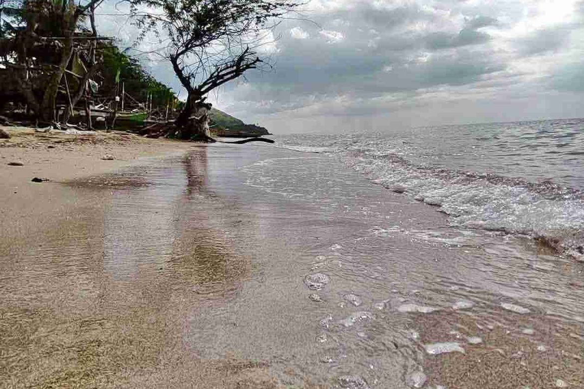 Land for Sale in Ubo, Balud, Masbate
