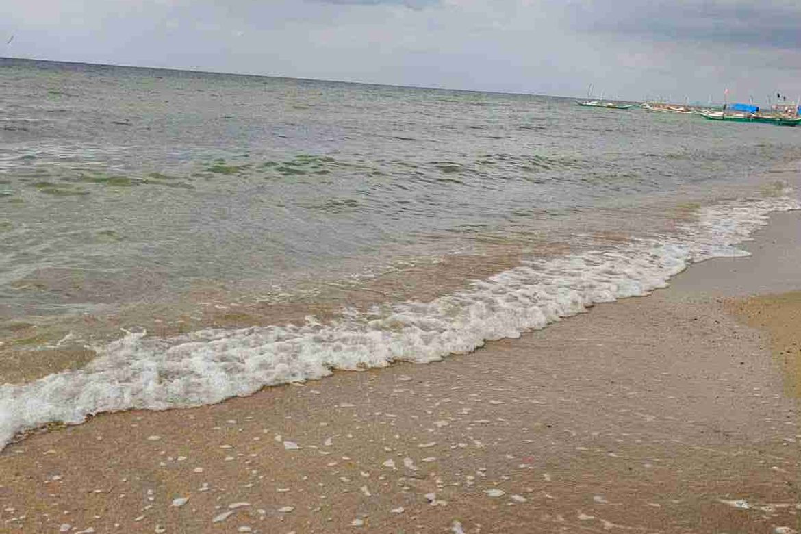 Land for Sale in Ubo, Balud, Masbate – photo 2