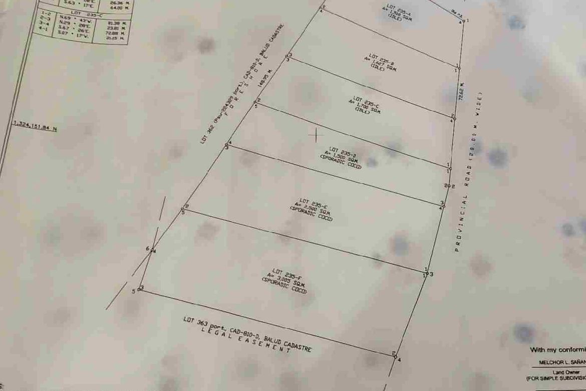 Land for Sale in Ubo, Balud, Masbate – photo 6