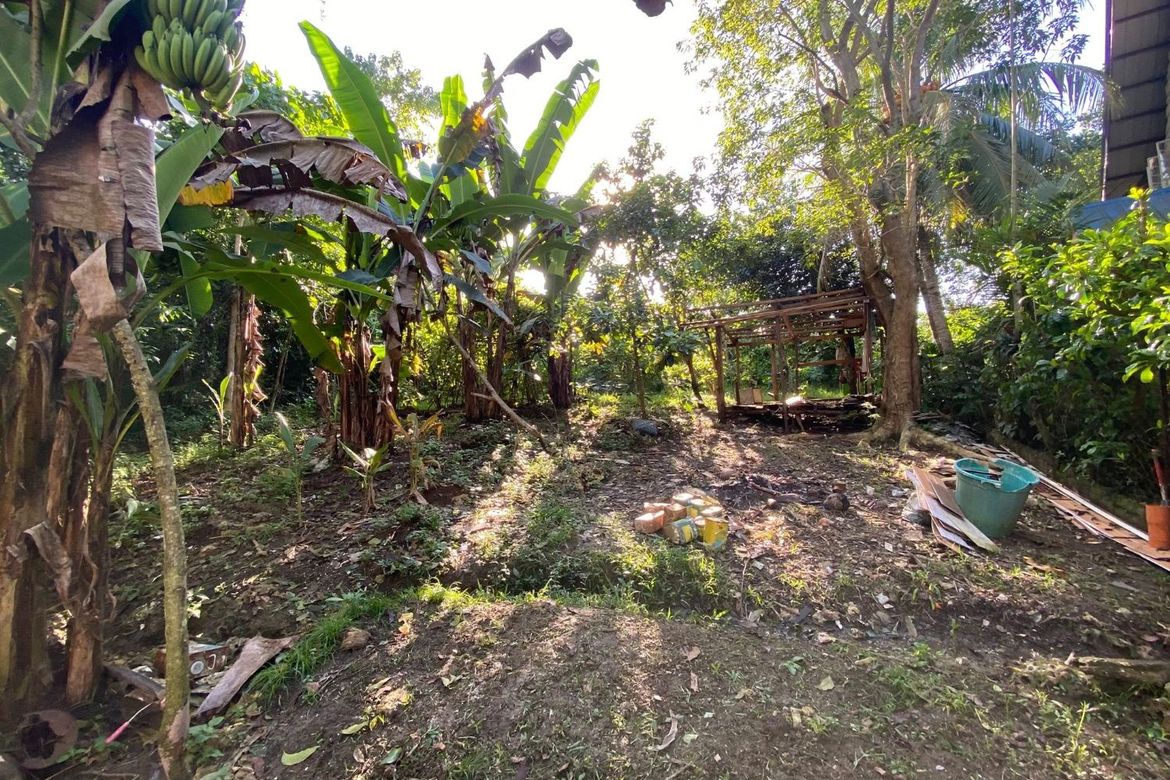 Land for Sale in Ubujan, Tagbilaran, Bohol