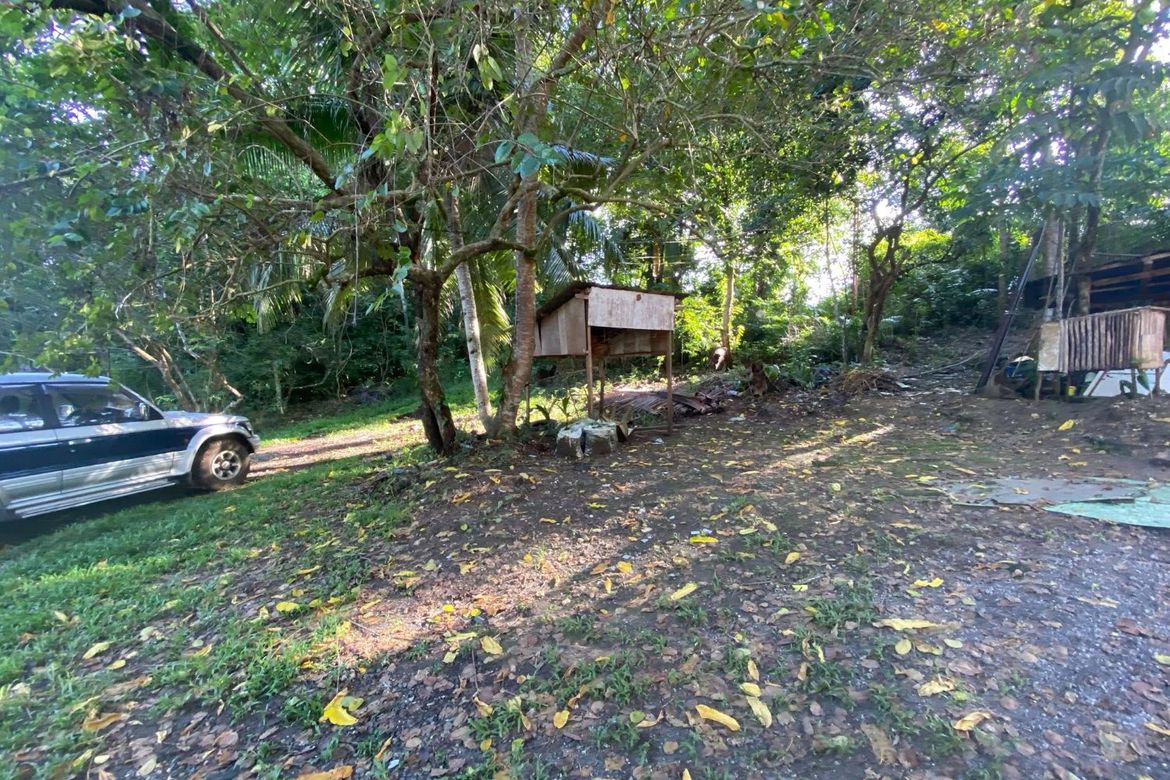 Land for Sale in Ubujan, Tagbilaran, Bohol – photo 4
