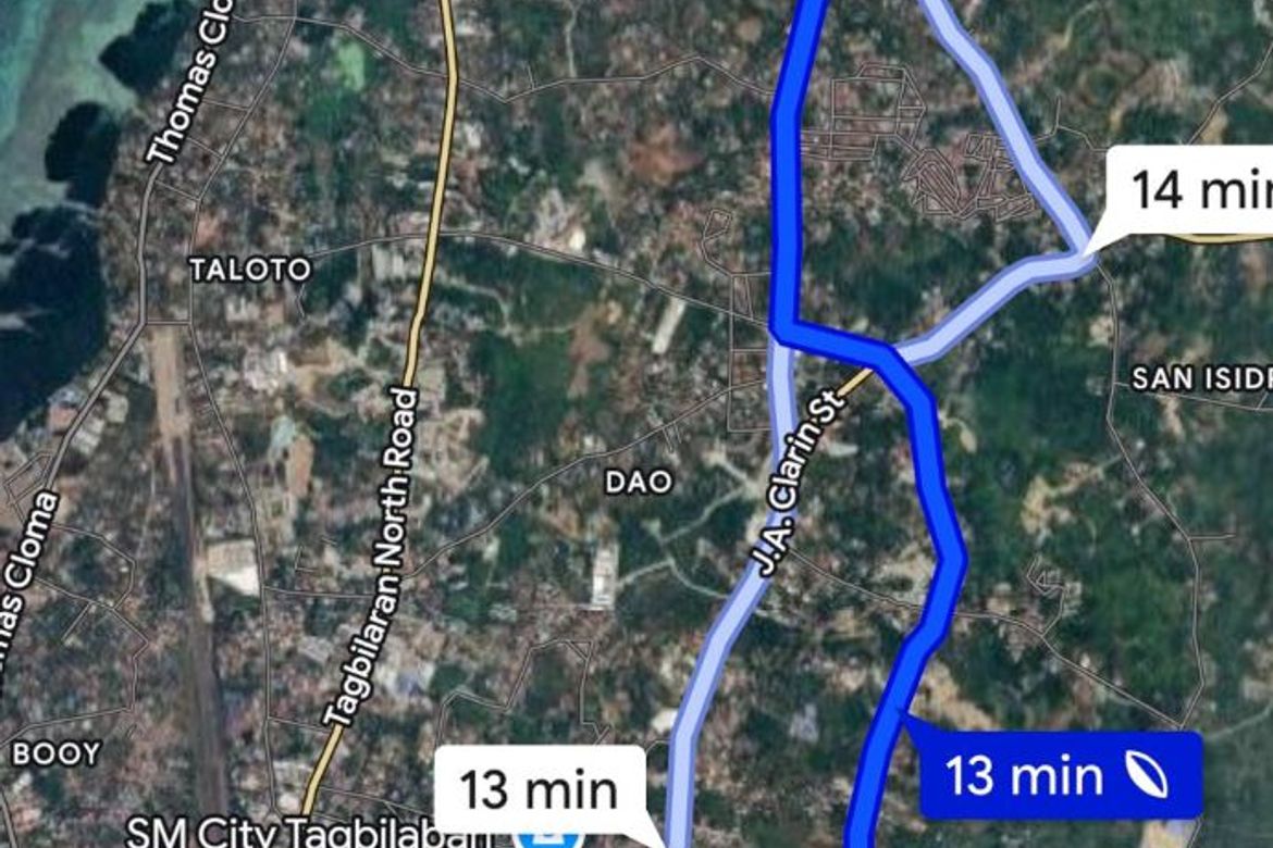 Land for Sale in Ubujan, Tagbilaran, Bohol – photo 6