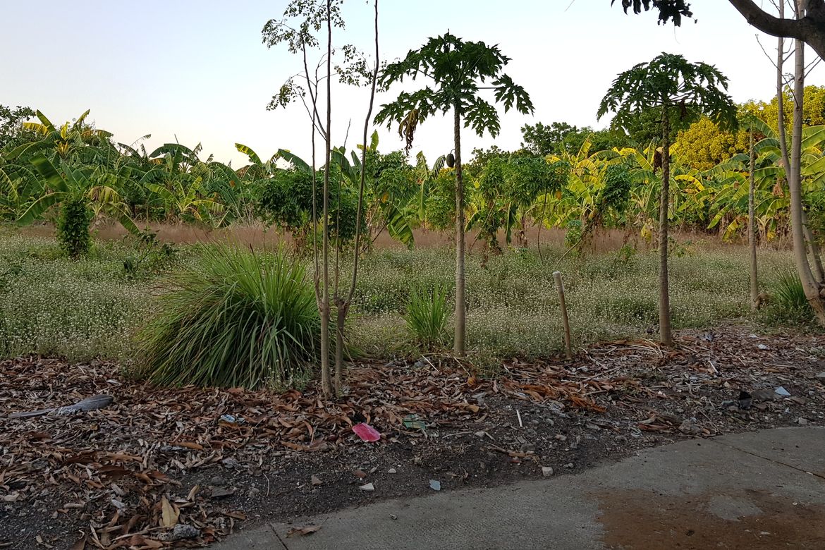 Land for Sale in Ugong Norte, Quezon City, Metro Manila – photo 3