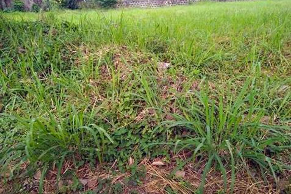 Land for Sale in Ugong Norte, Quezon City, Metro Manila – photo 2
