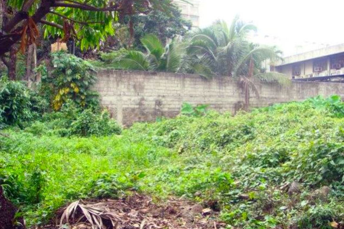 Land for Sale in Ugong Norte, Quezon City, Metro Manila – photo 3