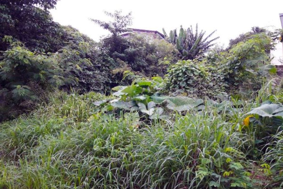 Land for Sale in Ugong Norte, Quezon City, Metro Manila – photo 5