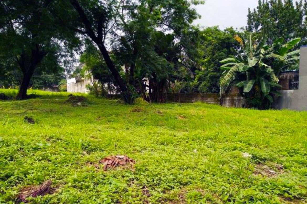 Land for Sale in Ugong Norte, Quezon City, Metro Manila near MRT-3 Ortigas