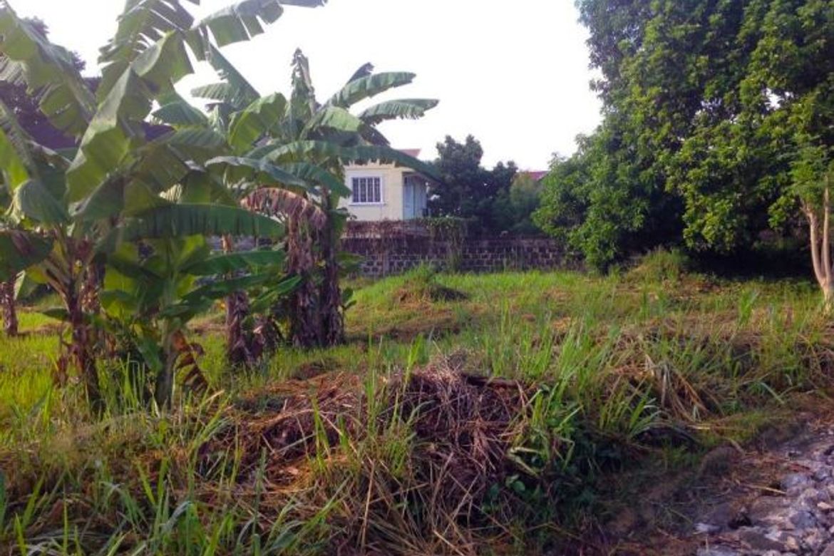 Land for Sale in Ugong Norte, Quezon City, Metro Manila