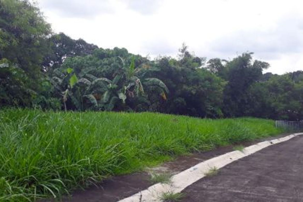 Land for Sale in Ugong Norte, Quezon City, Metro Manila – photo 2
