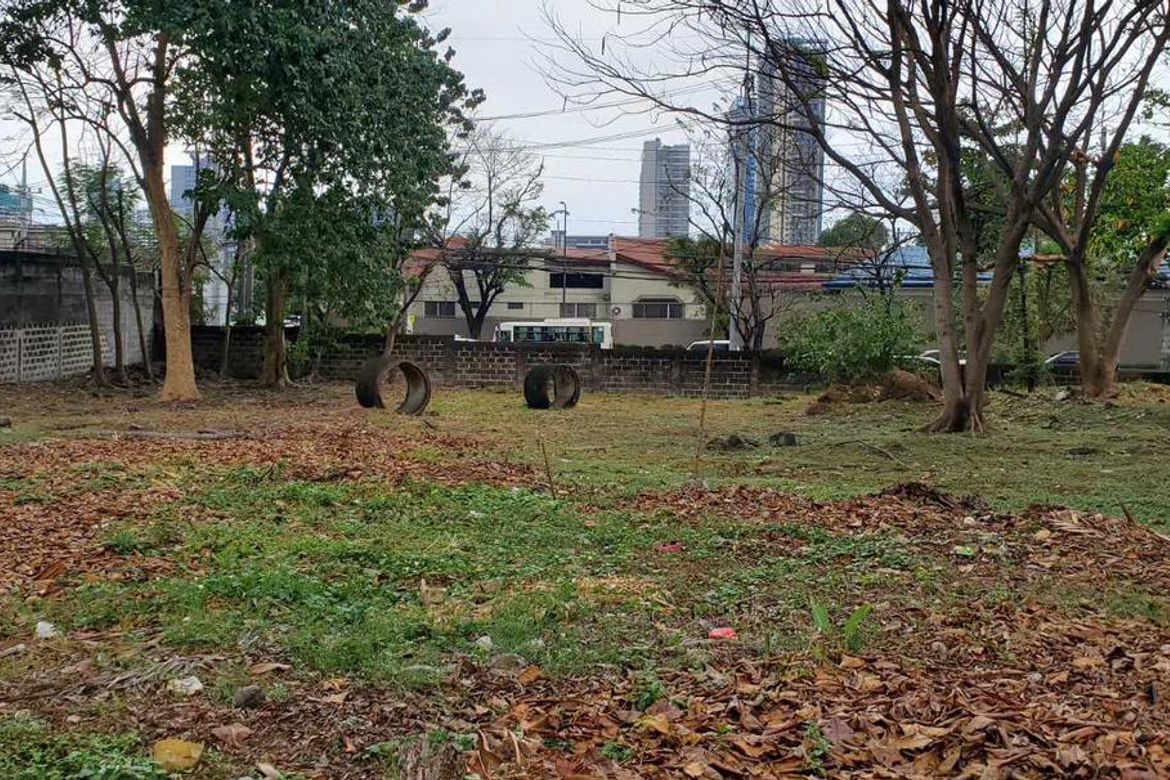 Land for Sale in Ugong, Pasig, Metro Manila – photo 2