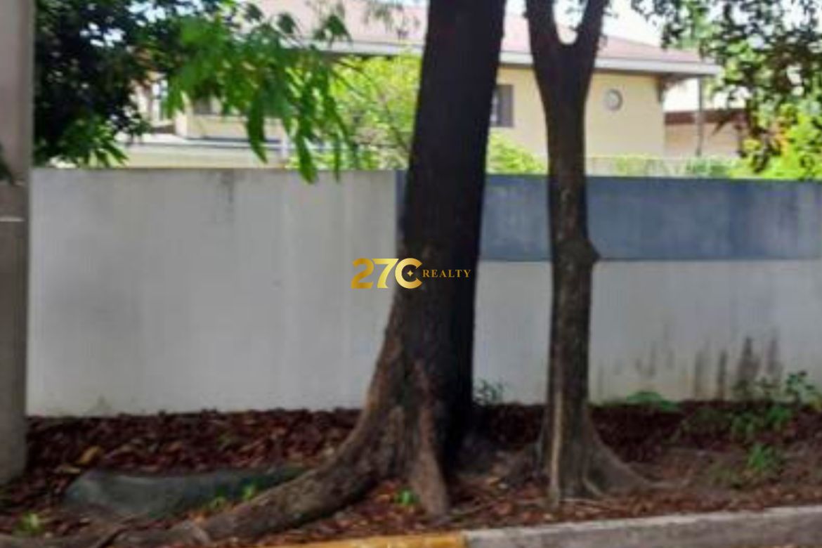 Land for Sale in Ugong, Pasig, Metro Manila – photo 3