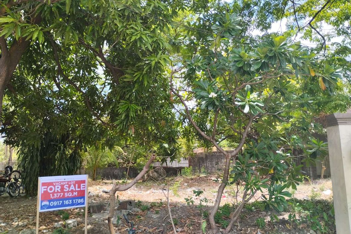 Land for Sale in Ugong, Pasig, Metro Manila