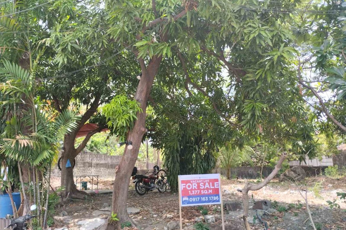 Land for Sale in Ugong, Pasig, Metro Manila – photo 2
