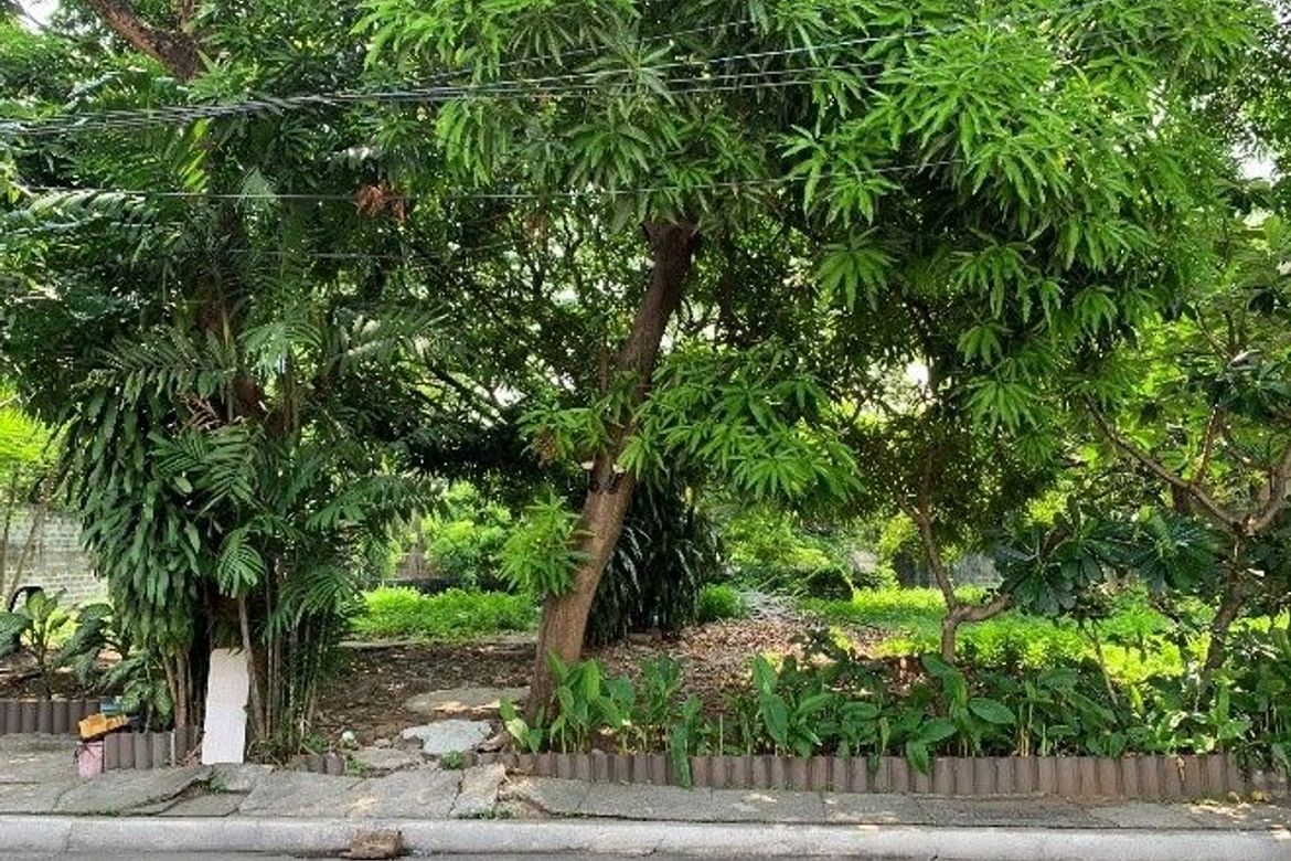 Land for Sale in Ugong, Pasig, Metro Manila – photo 6