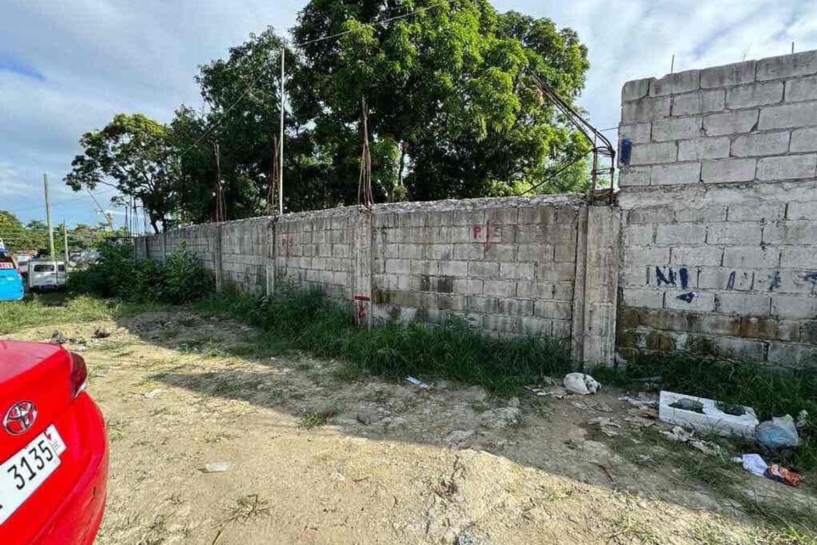 Land for Sale in Ugong, Valenzuela, Metro Manila – photo 8