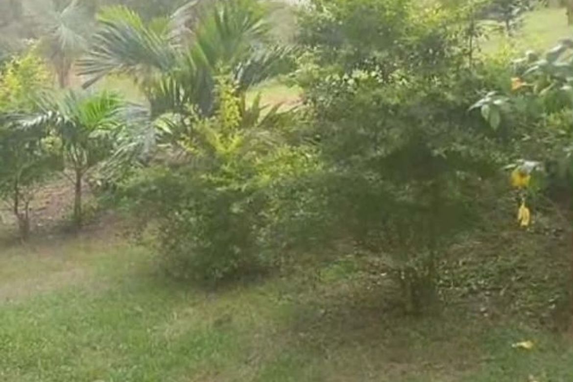 Land for Sale in Ulat, Silang, Cavite – photo 2