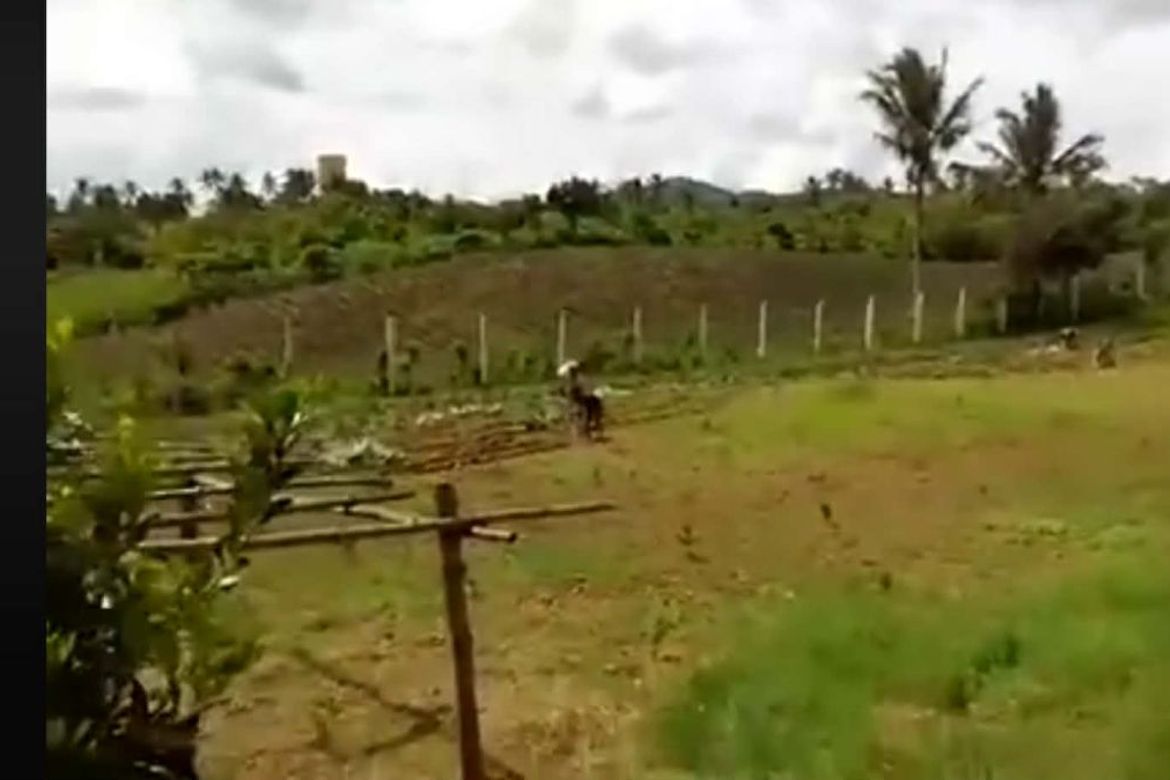 Land for Sale in Ulat, Silang, Cavite – photo 3