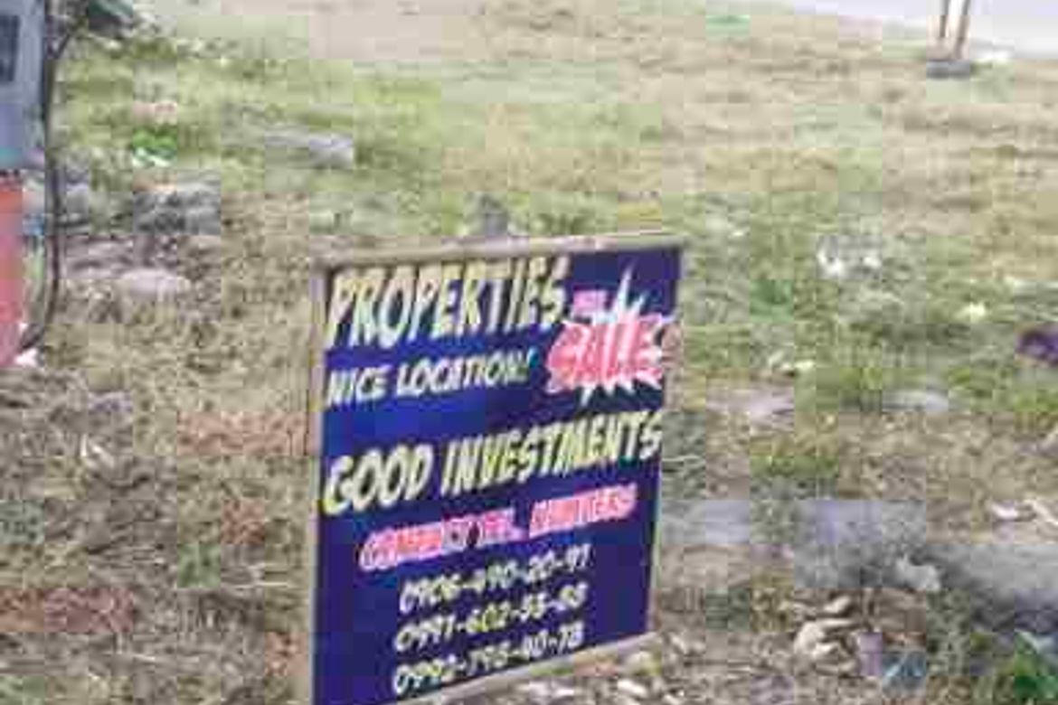 Land for Sale in Umangan, Mangatarem, Pangasinan – photo 2