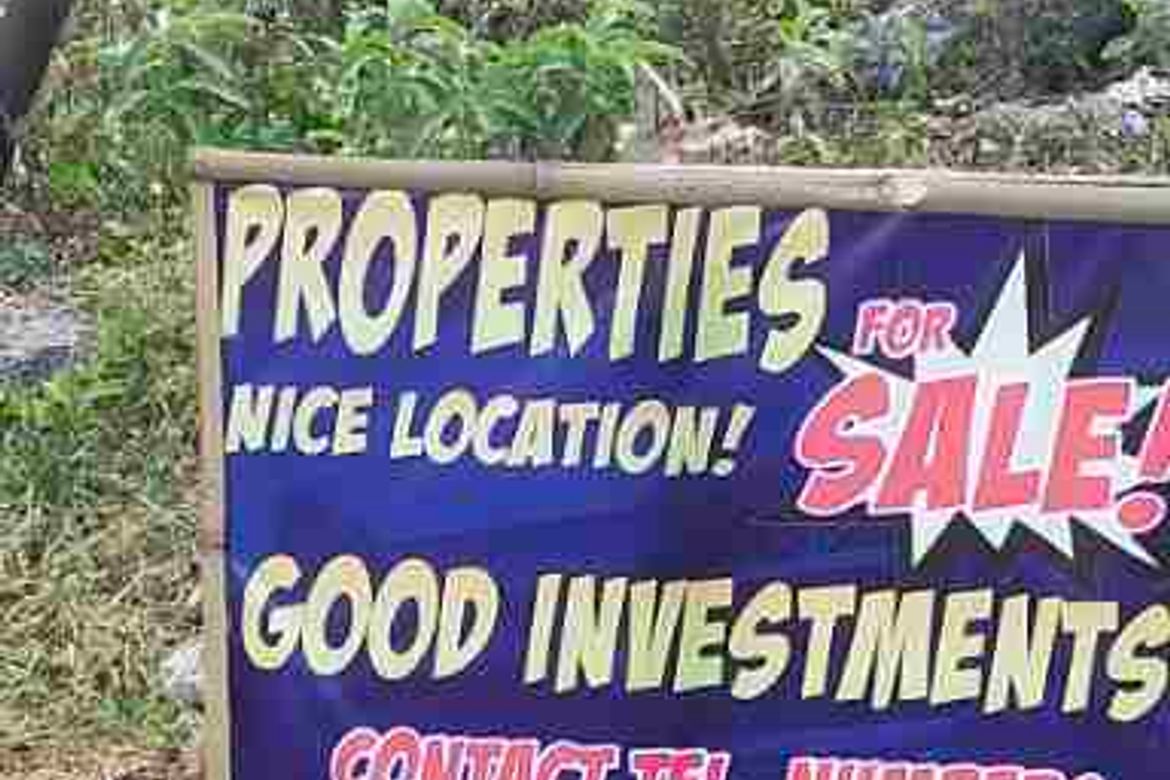 Land for Sale in Umangan, Mangatarem, Pangasinan – photo 3