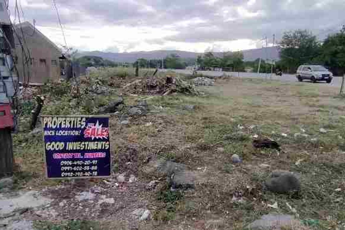 Land for Sale in Umangan, Mangatarem, Pangasinan – photo 6