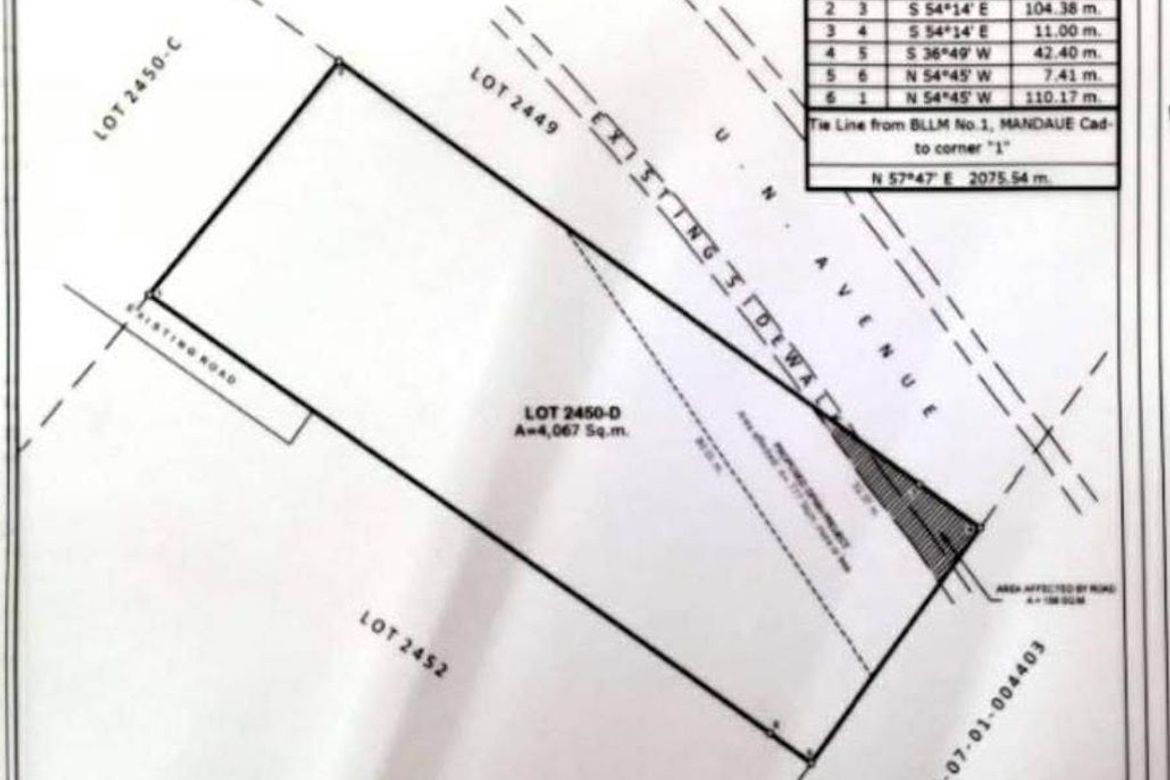 Land for Sale in Umapad, Mandaue, Cebu – photo 8
