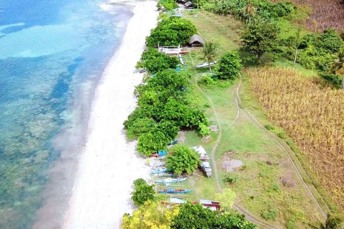 Land for Sale in Union, San Francisco, Cebu – photo 4