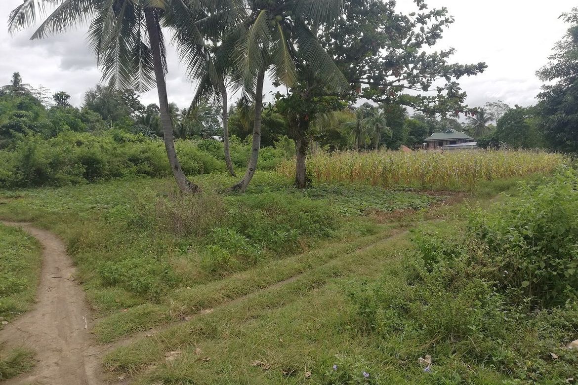 Land for Sale in Union, San Francisco, Cebu – photo 7