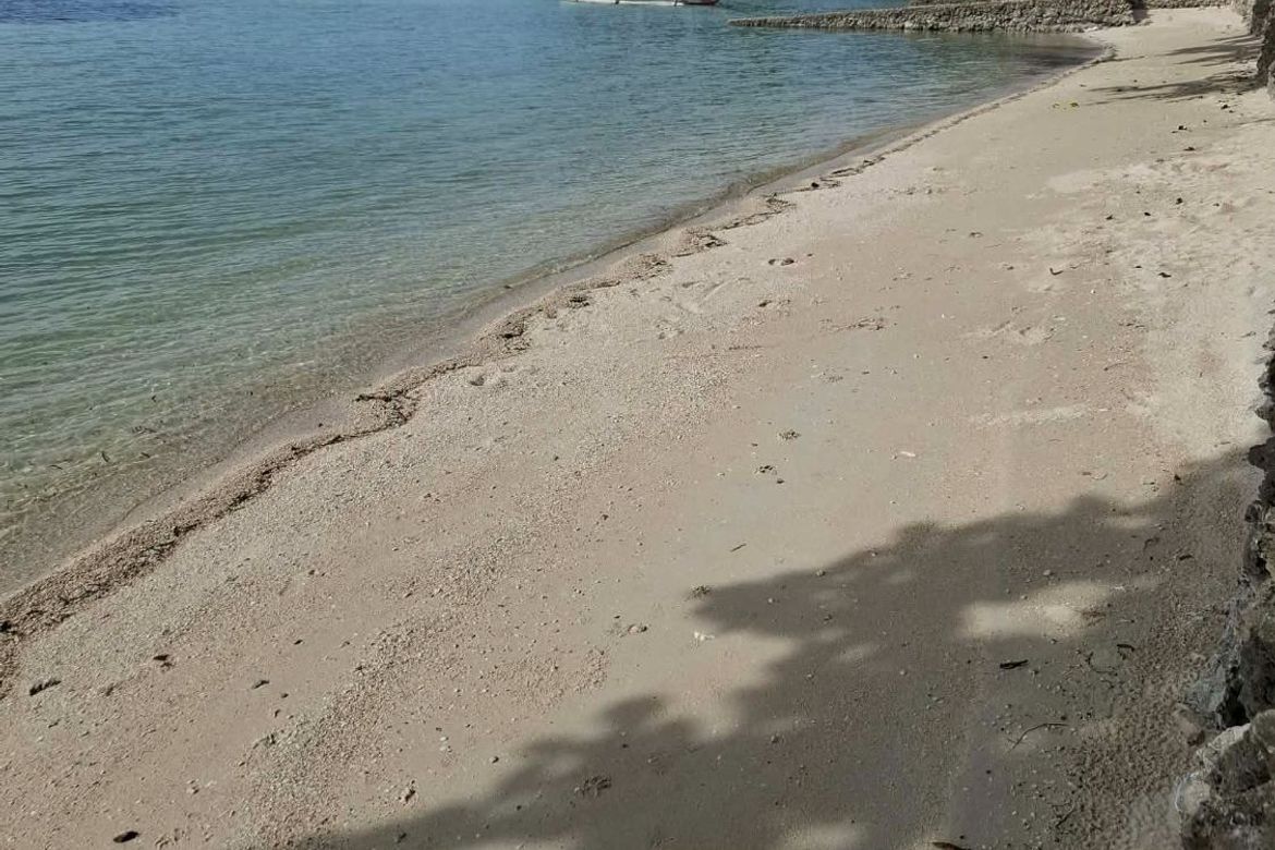 Land for Sale in Union, San Francisco, Cebu – photo 4