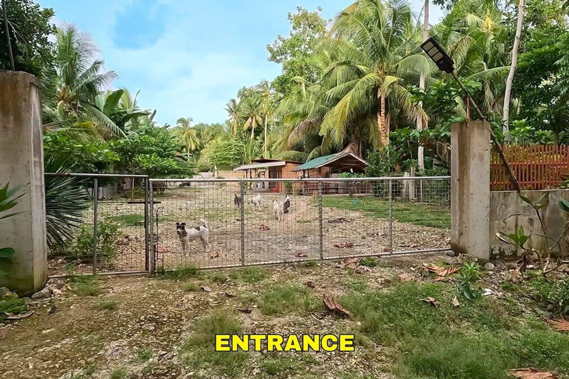 Land for Sale in Union, San Francisco, Cebu – photo 3