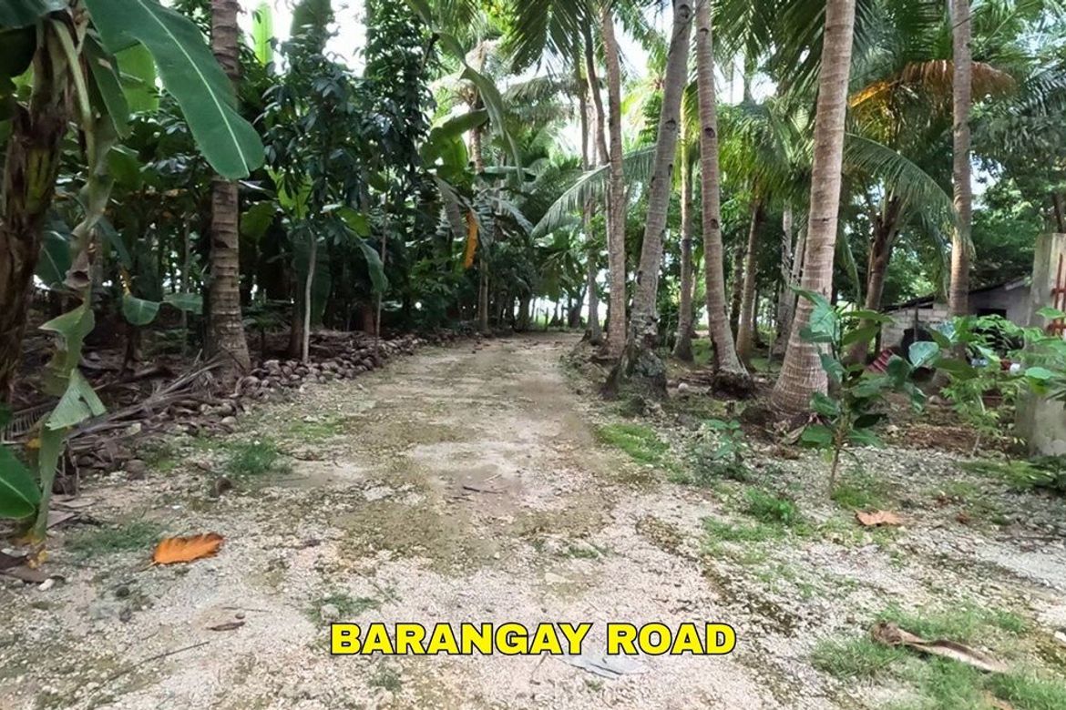 Land for Sale in Union, San Francisco, Cebu – photo 4