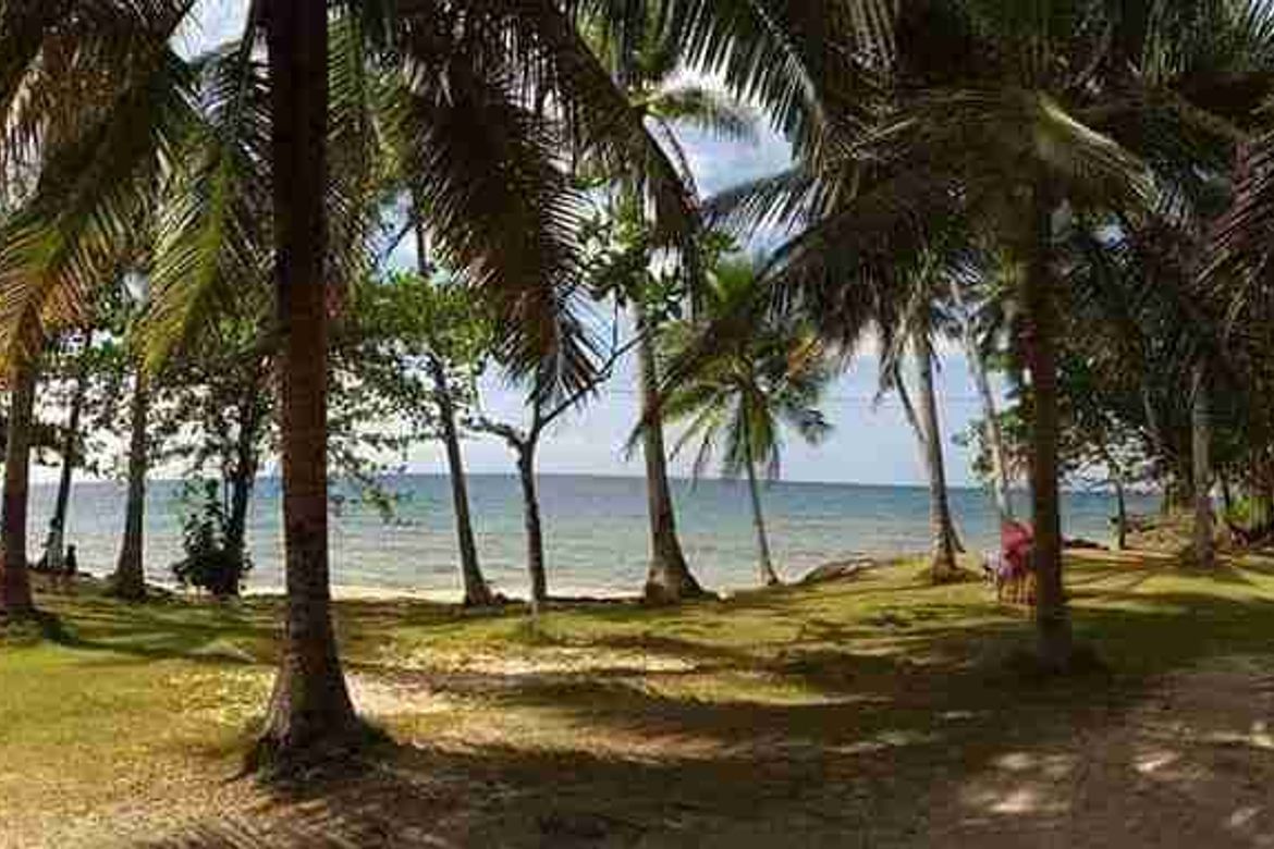 Land for Sale in Union, San Francisco, Cebu