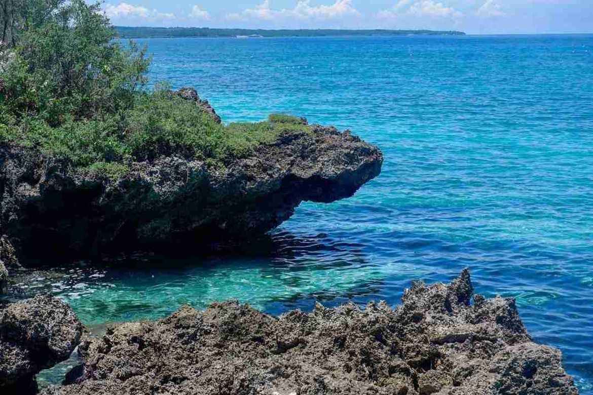Land for Sale in Union, San Francisco, Cebu – photo 6
